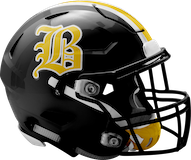 Brownsville Falcons logo